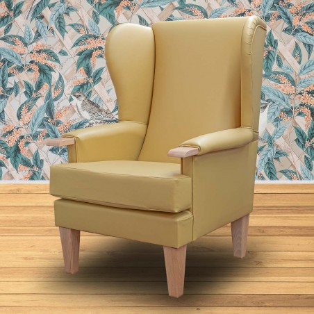 Kensington Orthopaedic Armchair in a Manuka Faux Leather Vinyl  - Hospitality & Care Edition